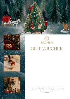 Voucher template 8